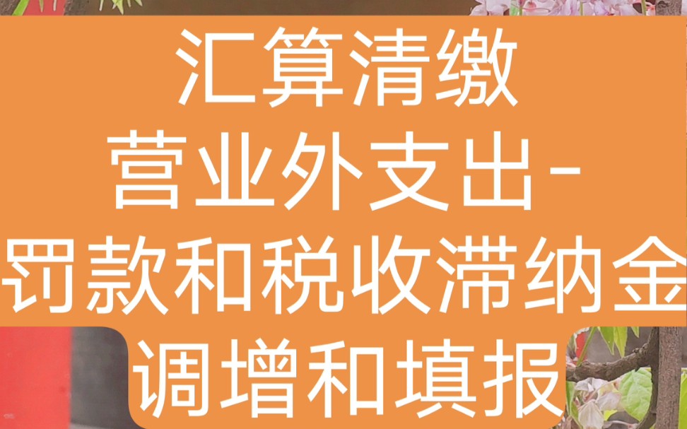 汇算清缴营业外支出罚款和税收滞纳金(企业所得税)税前调增和填列哔哩哔哩bilibili