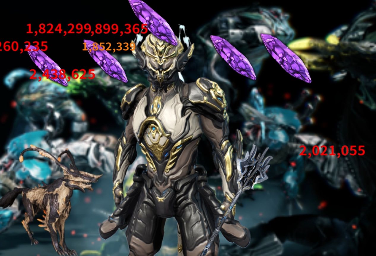 warframe最喜欢的猴子装备