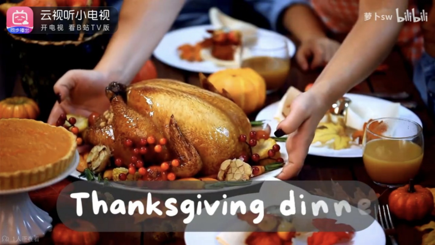 Thanksgiving Traditions 感恩节哔哩哔哩bilibili