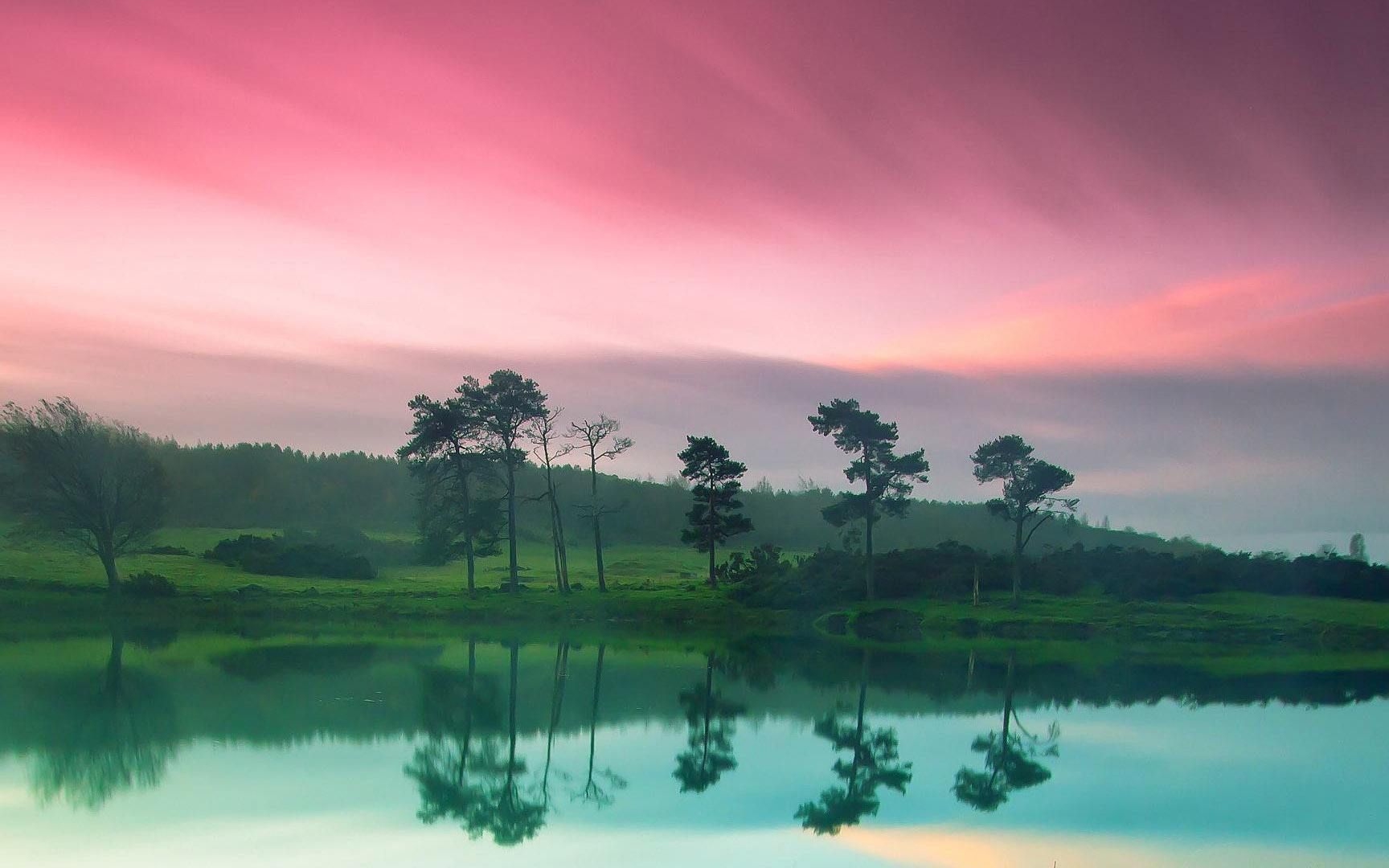 【睡眠风景】自己喜欢的事物与人的勇气都没有,你注定是个失败者.