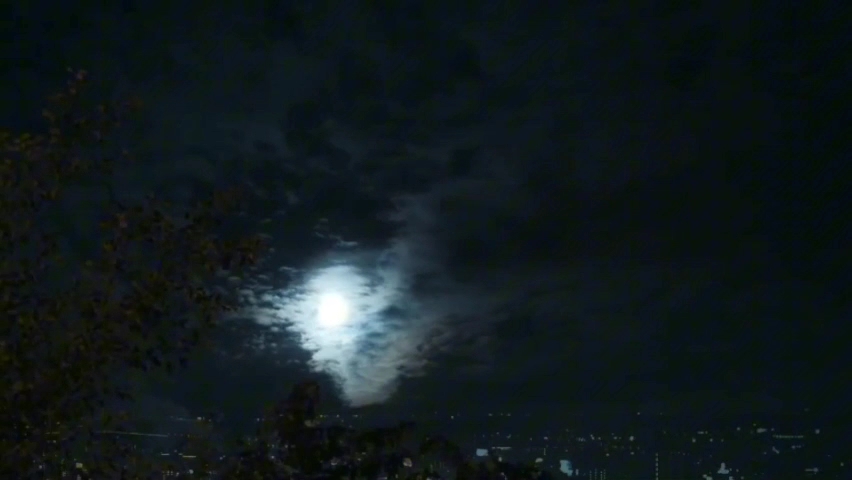 伊犁河的月夜背景资料图片