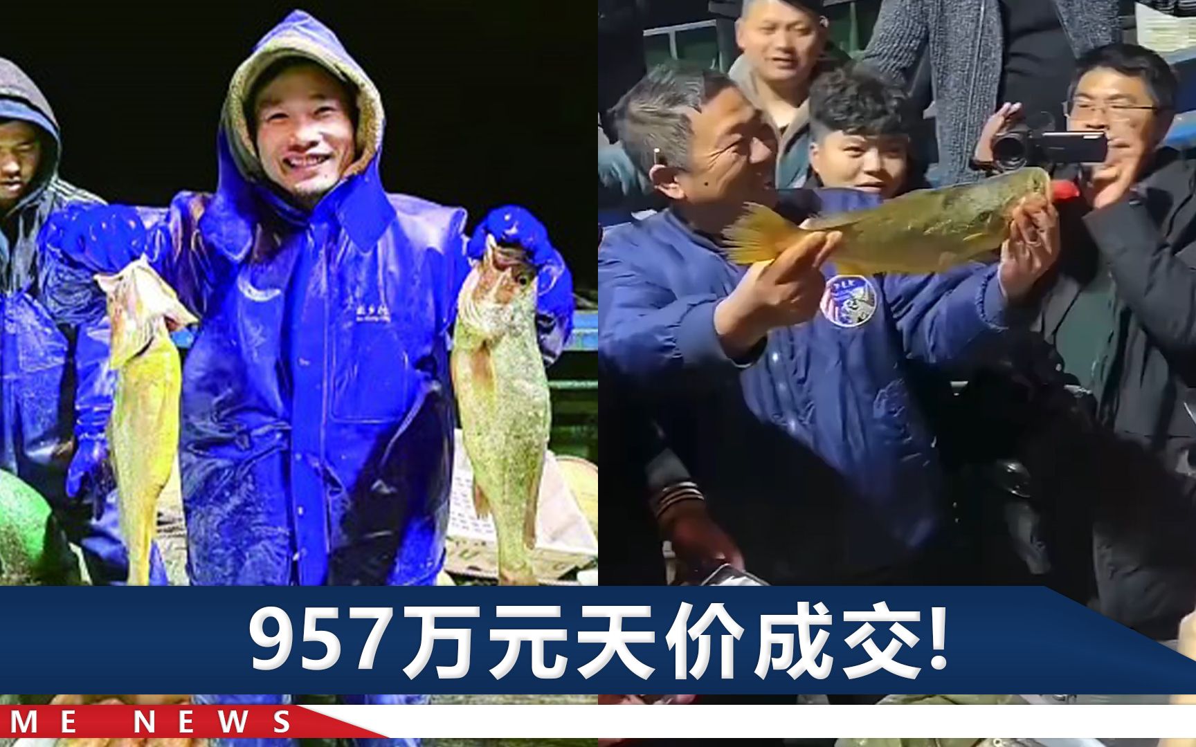 957万元天价成交!浙江渔民一网捞了近2.5吨野生大黄鱼:29年头一回哔哩哔哩bilibili