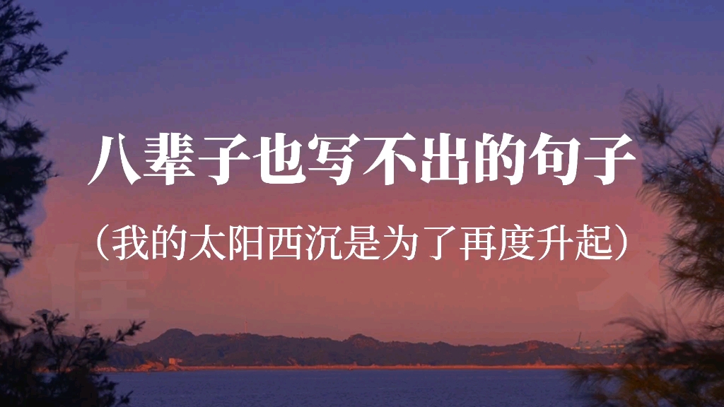 “你把秘密告诉了风,风会吹遍整片森林”‖值得收藏的神仙句子哔哩哔哩bilibili