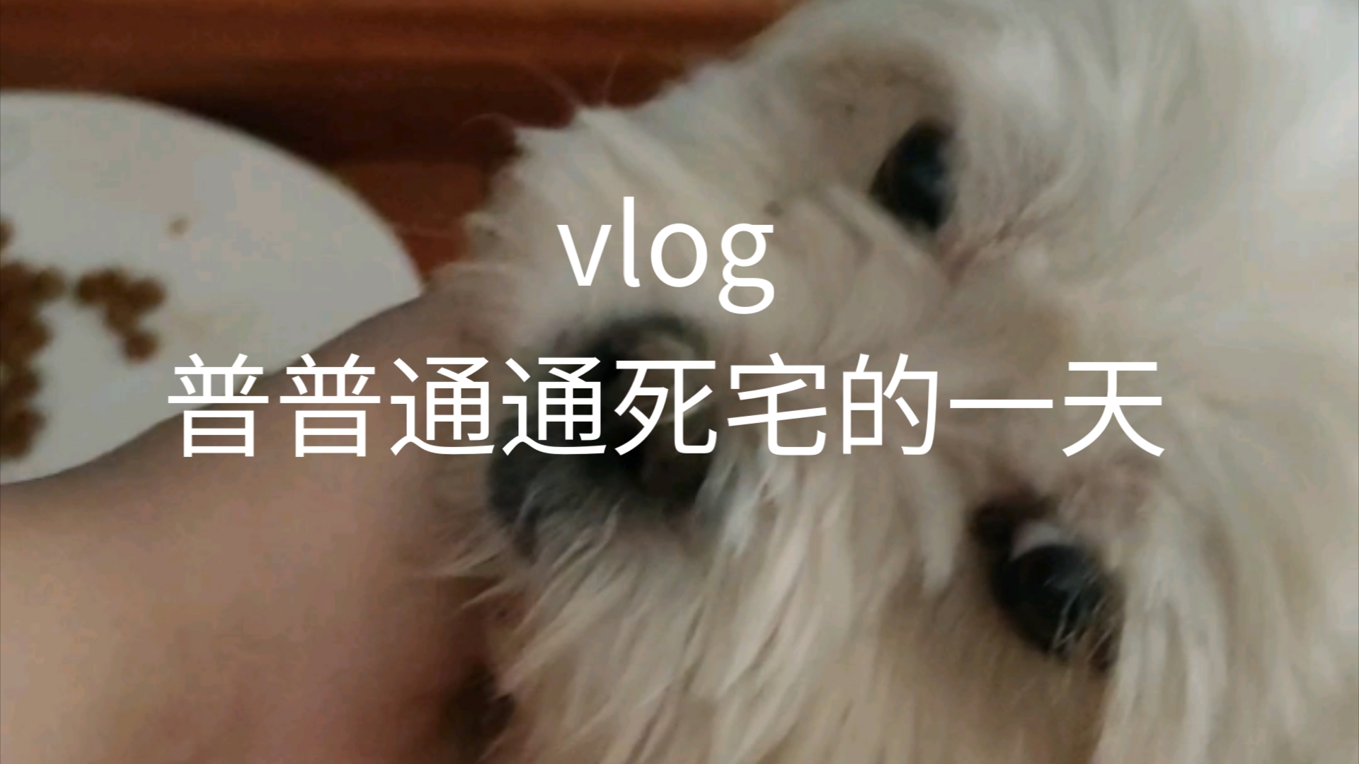 vlog普普通通死宅的一天哔哩哔哩bilibili