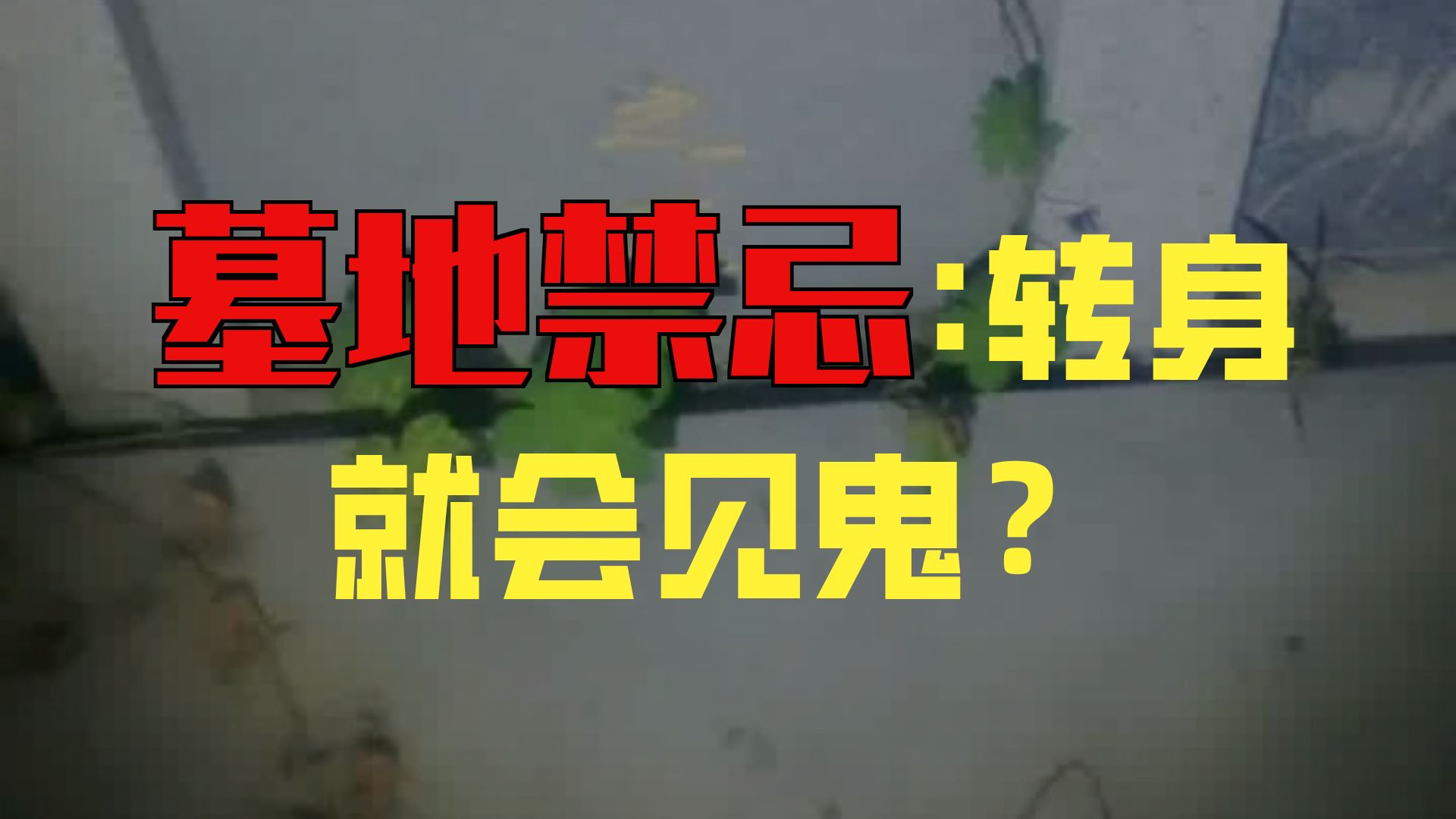 夜探姜家祖坟  26，7，27     户外探险大壮