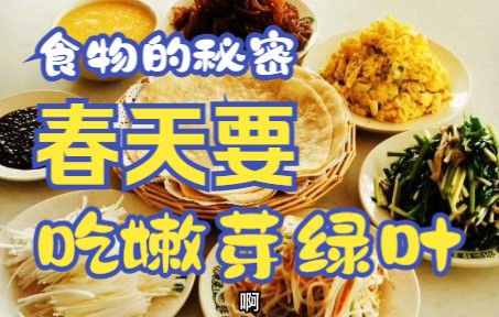 【食物的秘密002】春季饮食多吃嫩芽绿叶哔哩哔哩bilibili