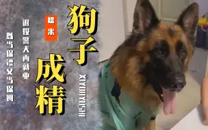 Скачать видео: 糯米：退役警犬再就业，既当保镖又当保姆，还能辅导萌娃写作业