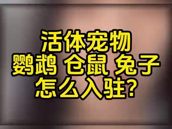 活体宠物类目能做吗?活体宠物报白是什么意思?活体宠物营业执照怎么办理?哔哩哔哩bilibili