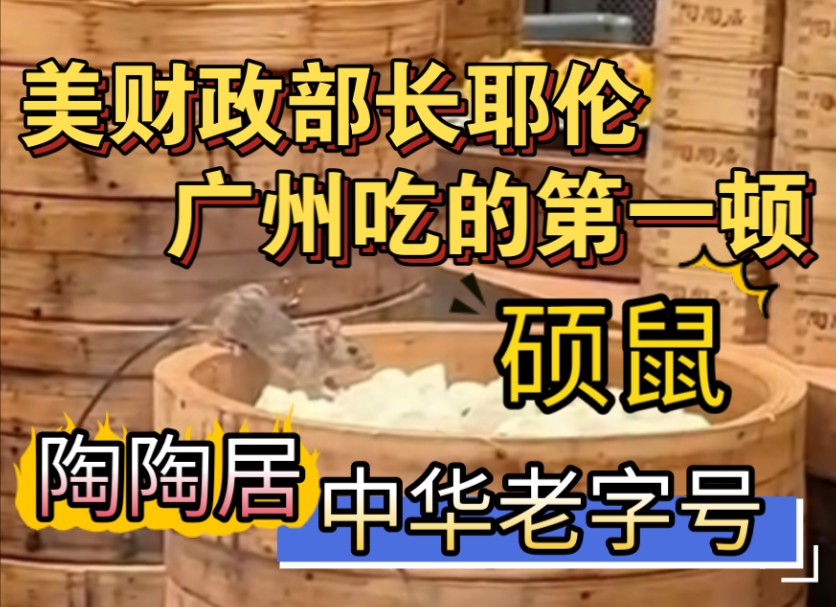 美财政部部长耶伦来广州的第一顿饭陶陶居,中华老字号干净又卫生!哔哩哔哩bilibili