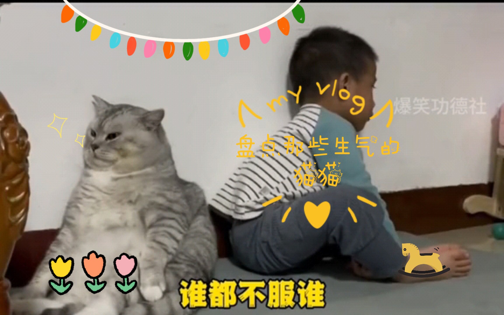 [图]盘点那些生气的猫猫