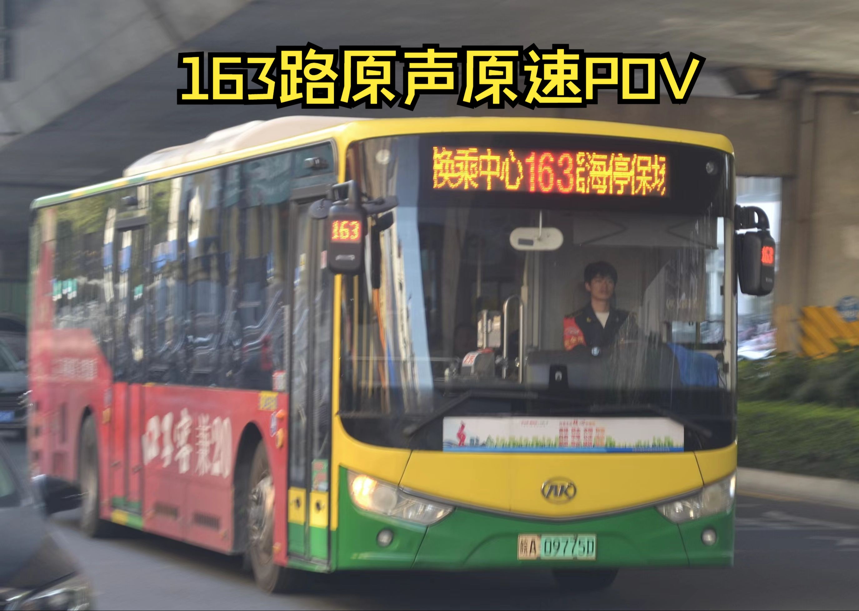 163路线路图图片