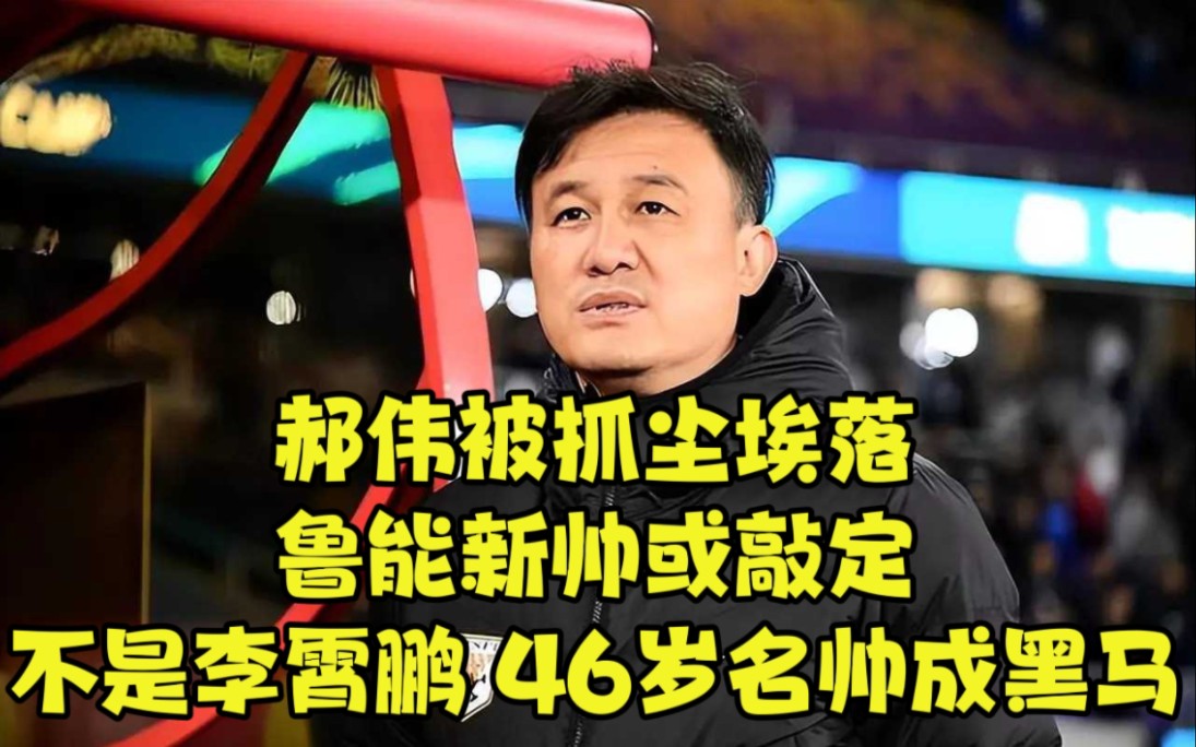 郝伟被抓尘埃落定,鲁能新帅或敲定,不是李霄鹏,46岁名帅成黑马哔哩哔哩bilibili