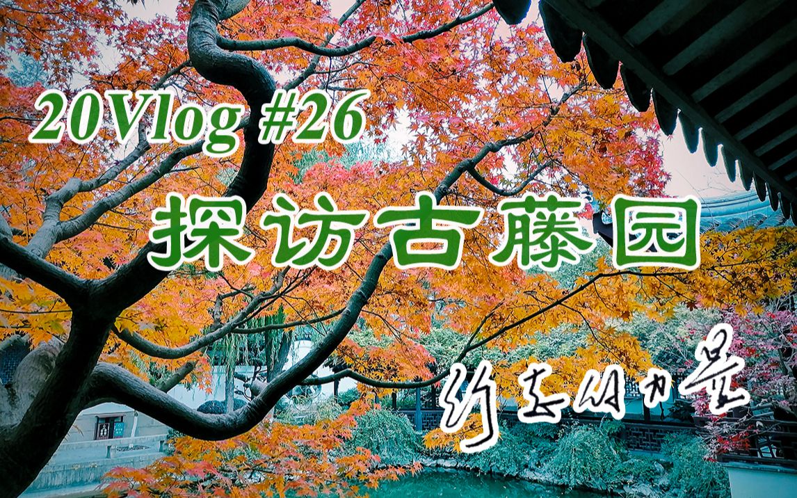 【20Vlog#26】行走的力量系列5:探访古藤园{工业区里的净土}哔哩哔哩bilibili