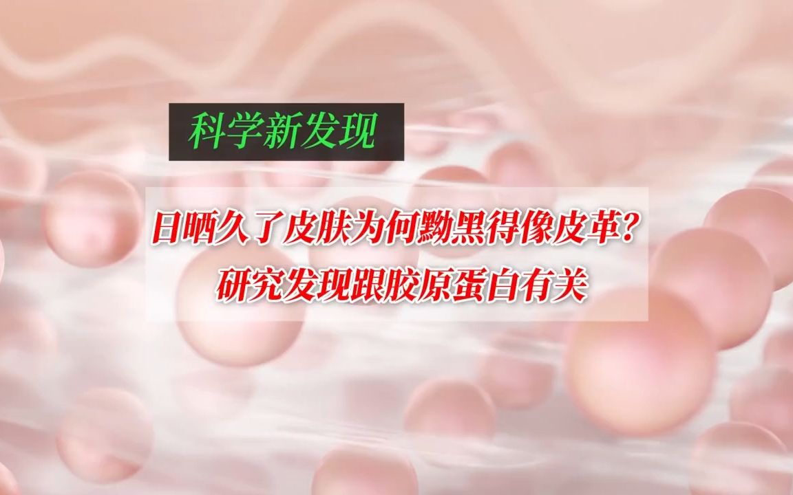 日晒久了皮肤为何黝黑得像皮革?研究发现跟胶原蛋白有关哔哩哔哩bilibili