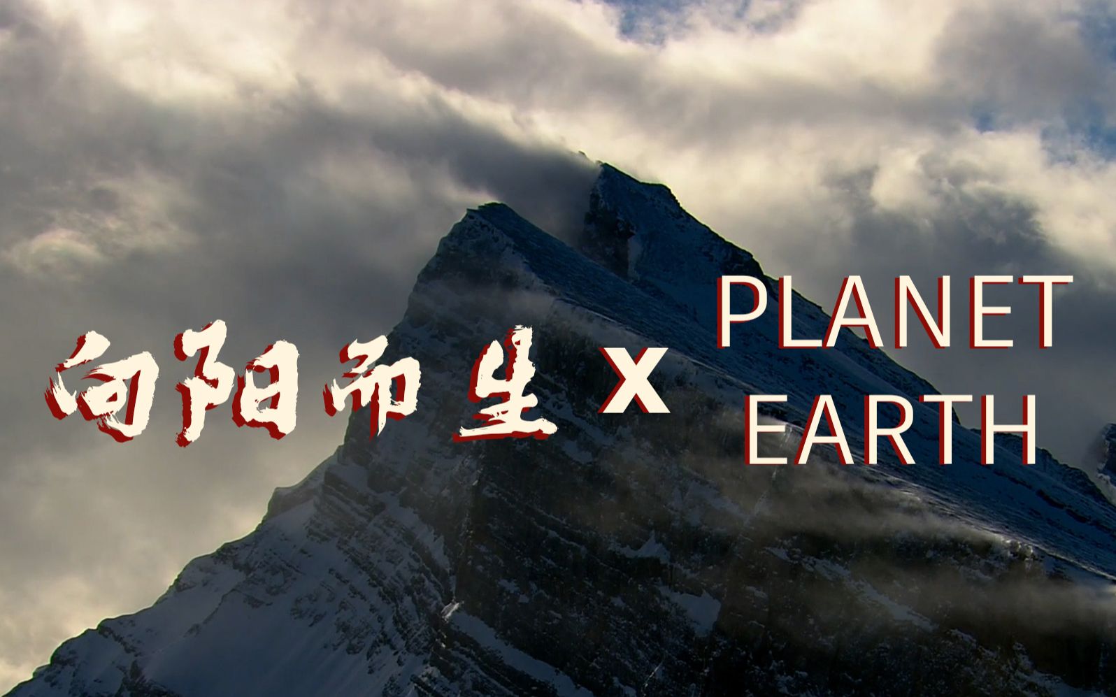 [图]【纪录片混剪】华晨宇向阳而生 x PLANET EARTH II