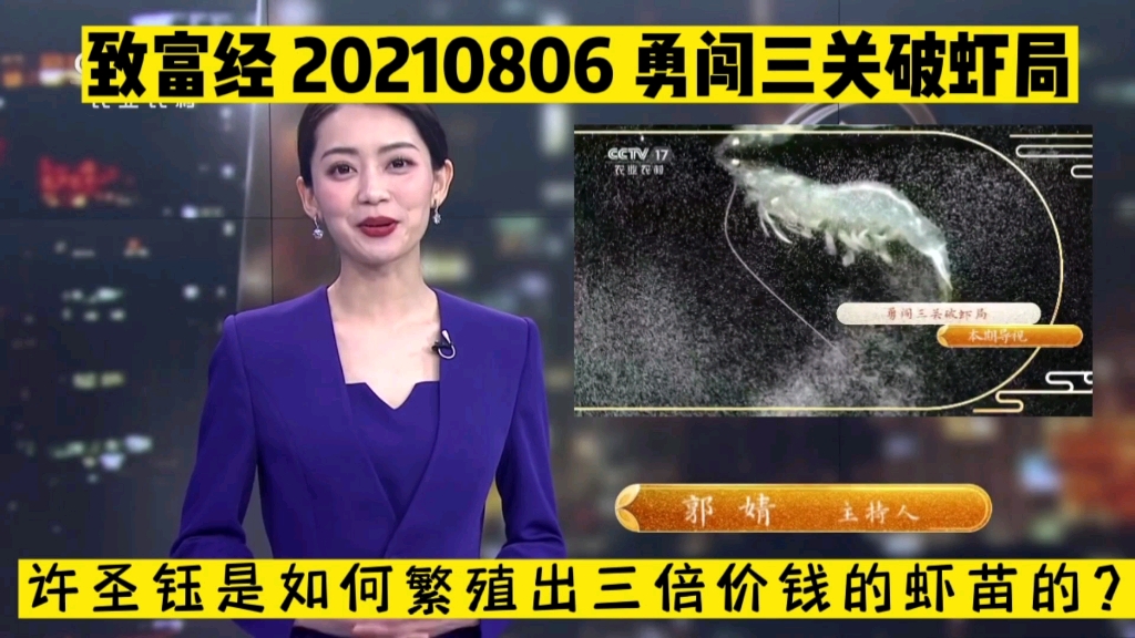 致富经白对虾(致富经河虾)