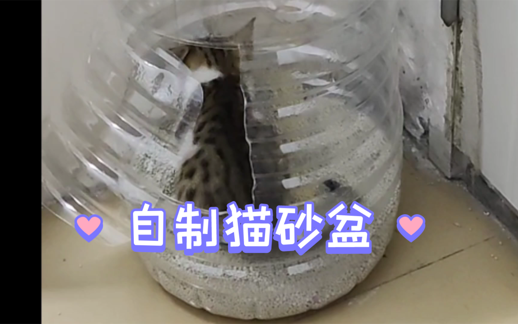 猫猫:这个猫砂盆可以哦