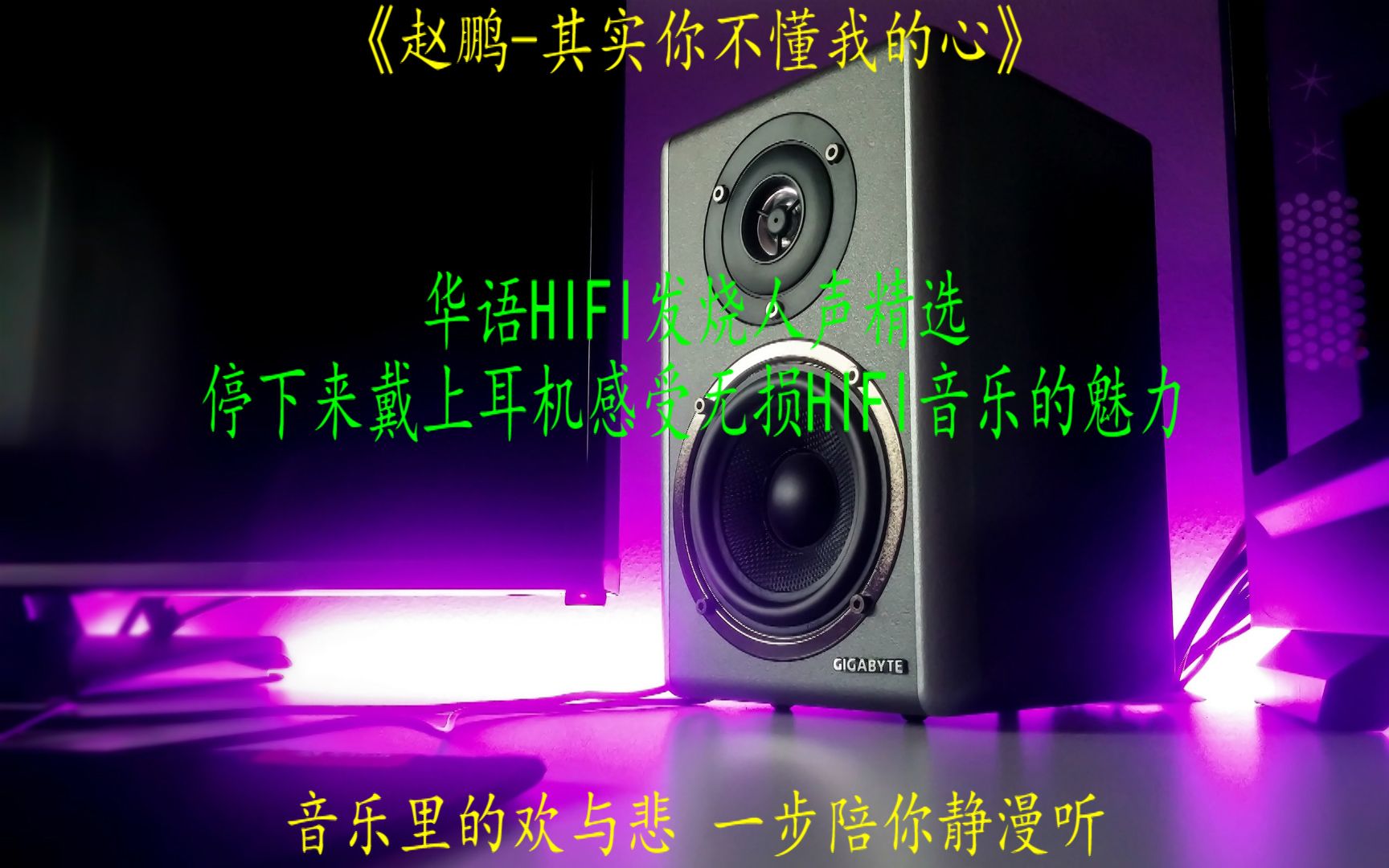 [图]华语HIFI发烧人声精选赵鹏《其实你不懂我的心》