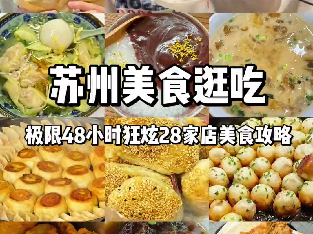 苏州美食攻略,苏州真的太好吃了后悔没有早点来!哔哩哔哩bilibili