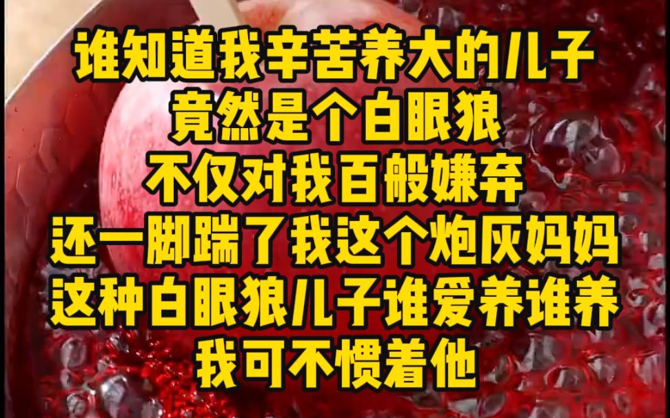 谁能想到我辛苦养大的儿子竟然是个白眼狼,不仅对我百般嫌弃,还一脚踹了我这个炮灰妈妈,这种白眼狼儿子谁爱养谁养,我可不惯着他哔哩哔哩bilibili