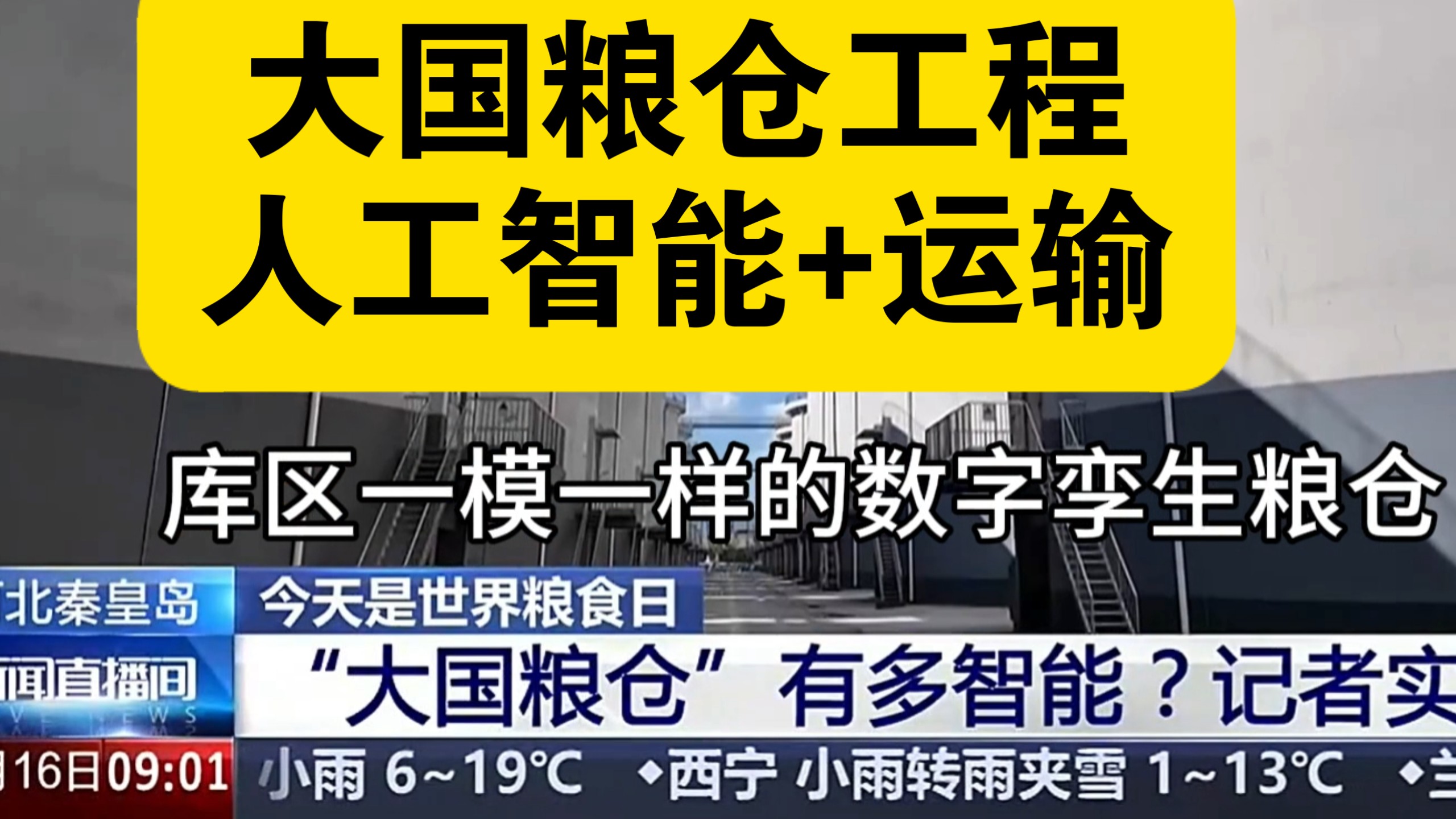 大国粮仓工程，人工智能+粮仓储存管理+运输。今天是世界粮食日。筑牢粮食的海上转运通道。2026年10月16日报道。
