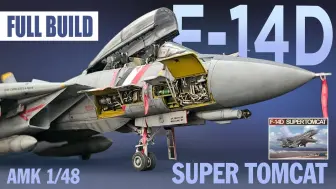 Download Video: 超级雄猫-F-14D-AMK 1/48 舰载战斗机模型制作