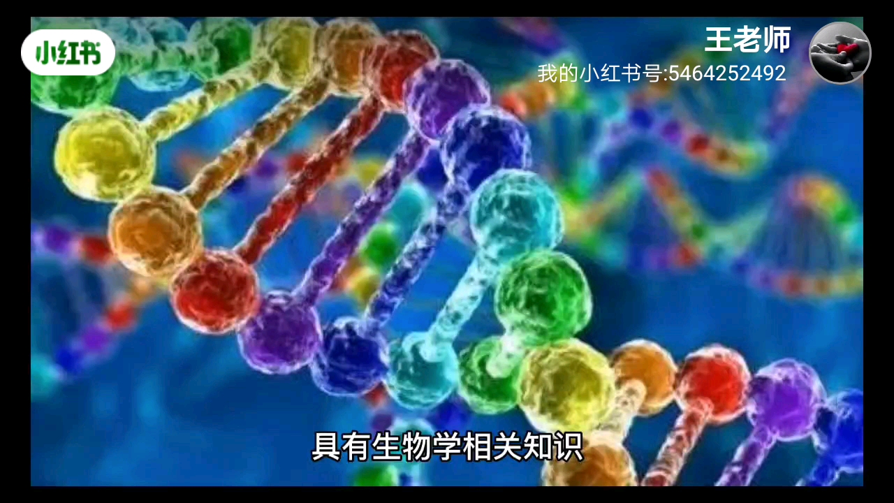 非相关专业能考pcr证书吗哔哩哔哩bilibili