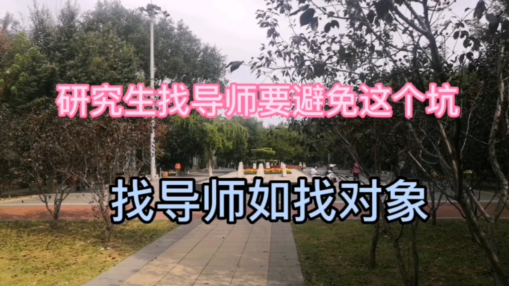 找导师要避免这个坑,需要慎之又慎.哔哩哔哩bilibili