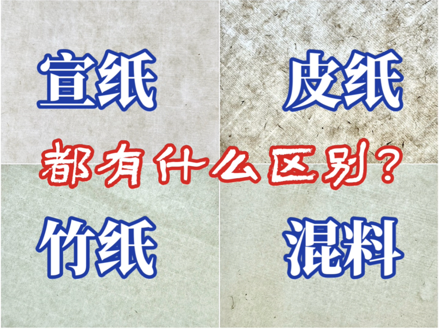 新手向科普:宣纸、皮纸、竹纸都是什么纸,有什么区别?哔哩哔哩bilibili