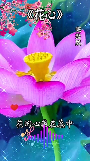 情感歌曲#花心#情感音樂 #唯美溶圖 #聽歌賞花愉悅心情 #感謝支持