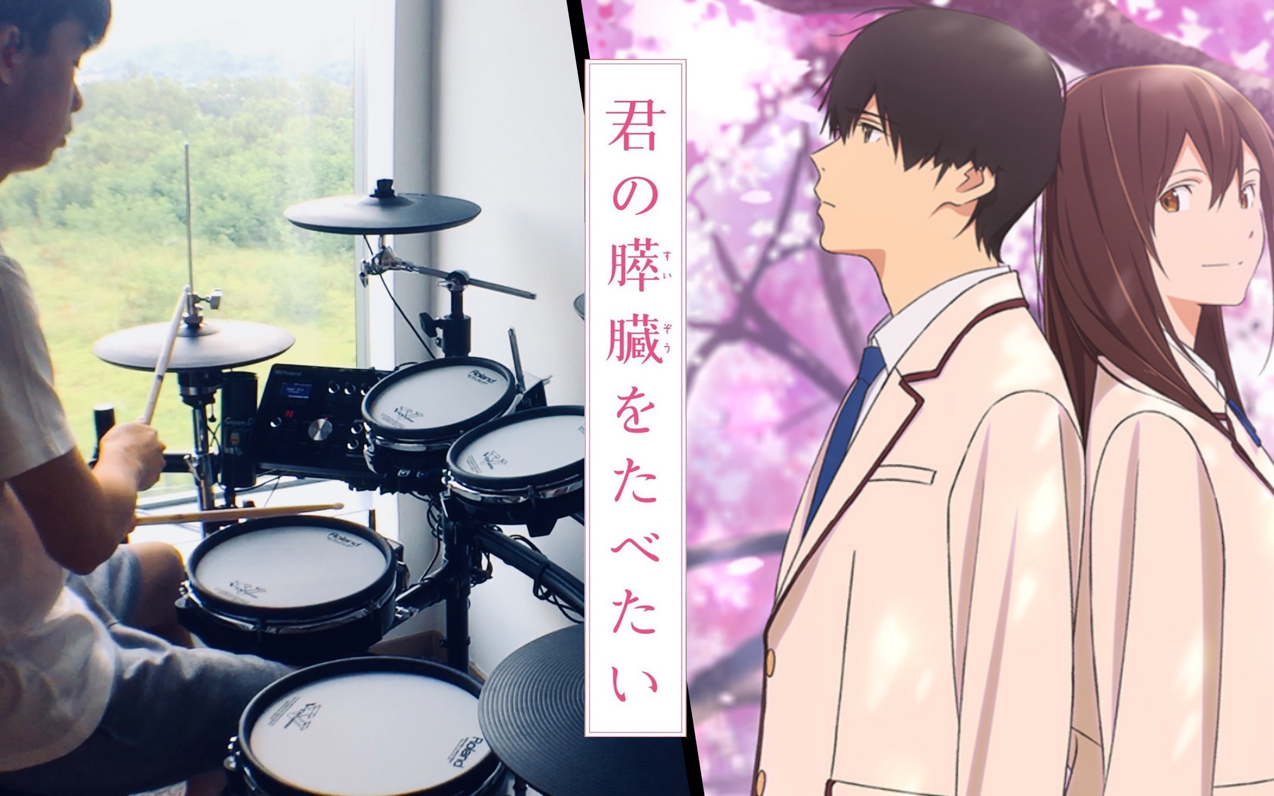 我想吃掉你的胰脏 ed - 【春夏秋冬】sumika 架子鼓翻奏