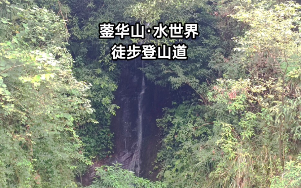 四川什邡蓥华山水世界森林徒步道,发现绝密瀑布,这道路快荒废了哔哩哔哩bilibili