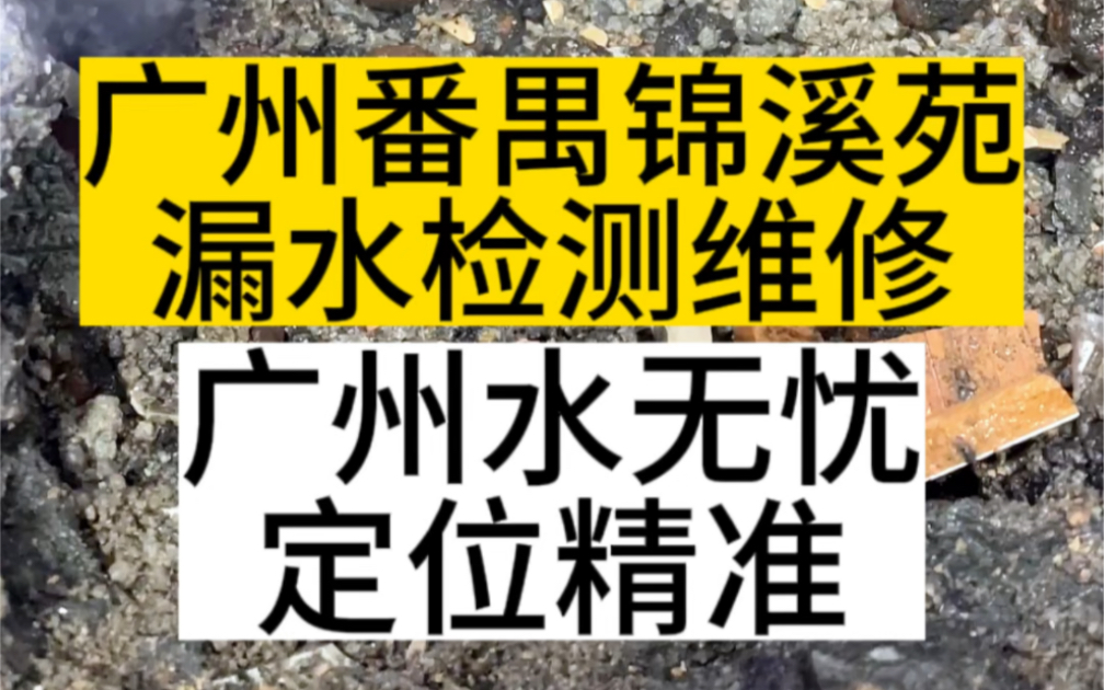 #精准定位漏水检测维修 .广州市番禺区锦溪苑,漏水检测和维修,感谢粉丝信任.广州水无忧探漏,定位精准. #广州漏水检测 #广州卫生间漏水哔哩哔哩...