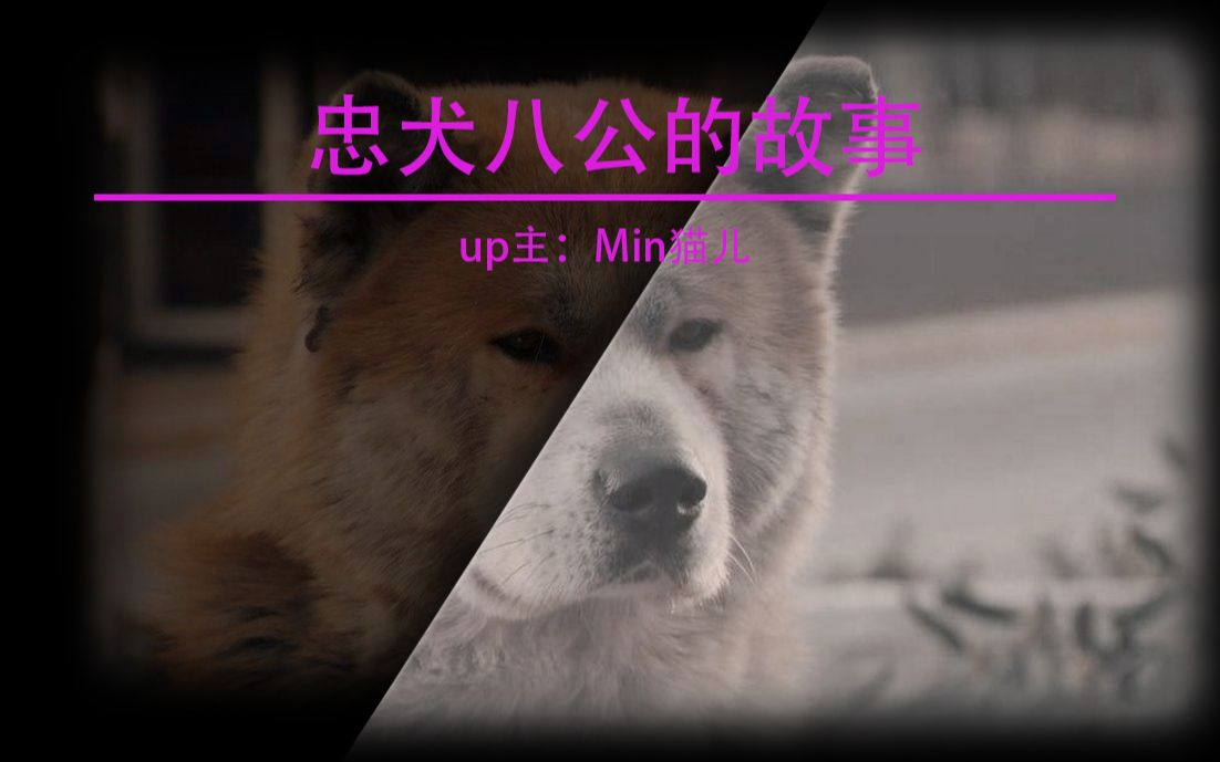 《忠犬八公的故事》电影剪辑哔哩哔哩bilibili