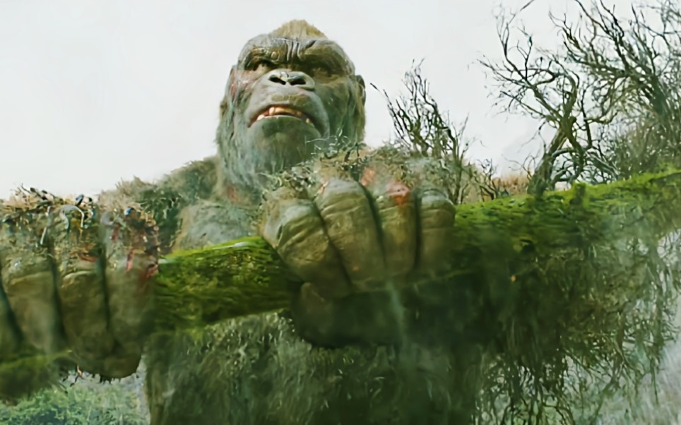 陆地霸主金刚最凶猛,不服来战!