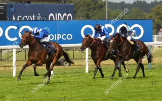 英皇锦标 搜索结果 哔哩哔哩 Bilibili