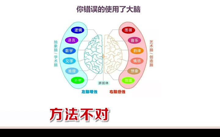 信息流千川直播引流rol好哔哩哔哩bilibili