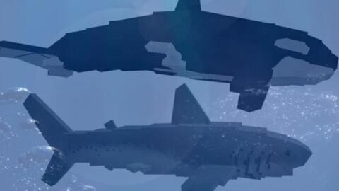 Minecraft 我在mc里养鲸鱼我的世界海洋模组介绍 哔哩哔哩 Bilibili Minecraft 我在mc里养鲸鱼我的世界海洋模组介绍 哔哩哔哩 Bilibili