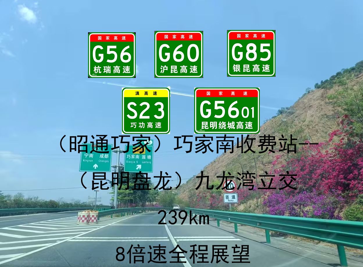 【云南高速POV】239km(昭通巧家)巧家南收费站(昆明盘龙)九龙湾立交8倍速全程展望哔哩哔哩bilibili