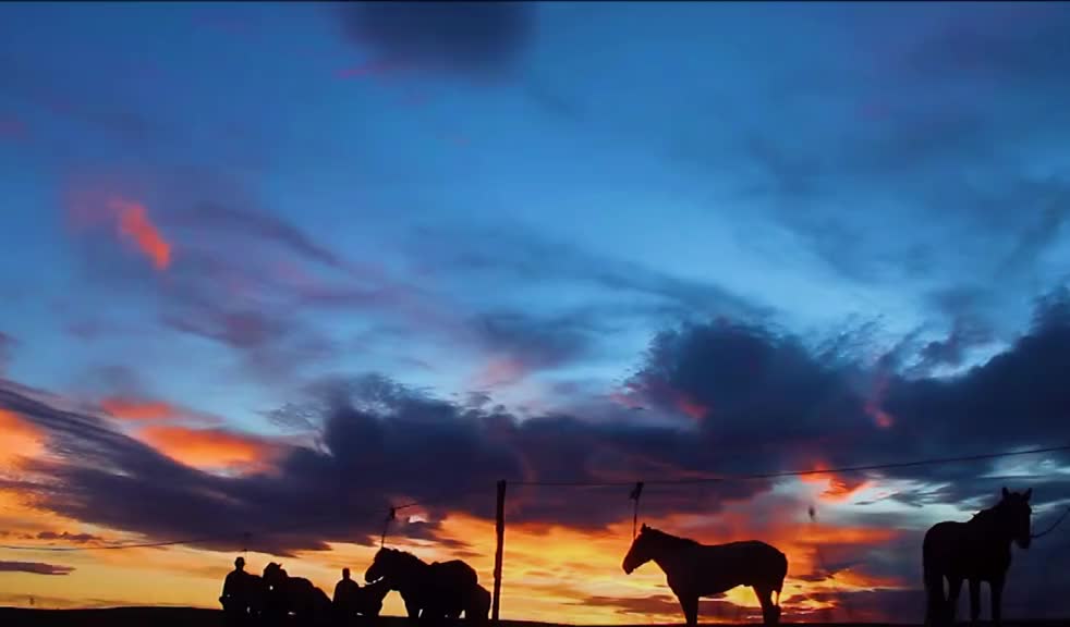 [图]草原驰骏马天边逐落霞飞骑沐夕阳大地披金纱草原日落晚霞蒙古