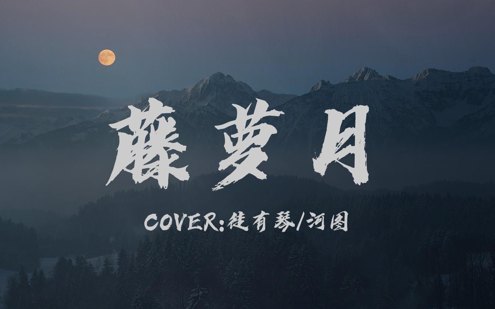 [图]【云深×欣歆然】藤萝月（Cover：河图/徒有琴）