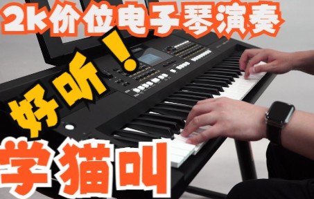 [图]2千块的琴同样好听！《学猫叫》小潘潘， 小峰峰（YAMAHA KB309 电子琴 演奏）