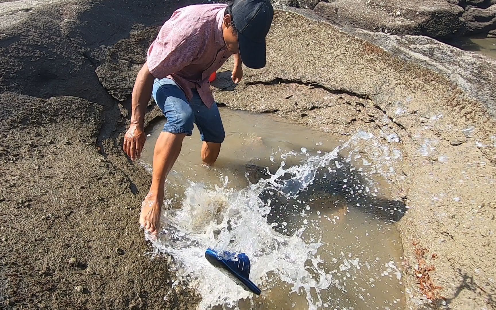 馒头赶海最危险的一次!遭到坑底猛物攻击,一口下去鞋都甩飞了