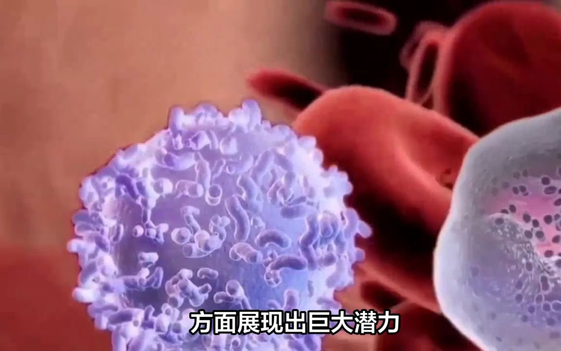 智能多肽自组装纳米材料:生物医学领域的新希望哔哩哔哩bilibili