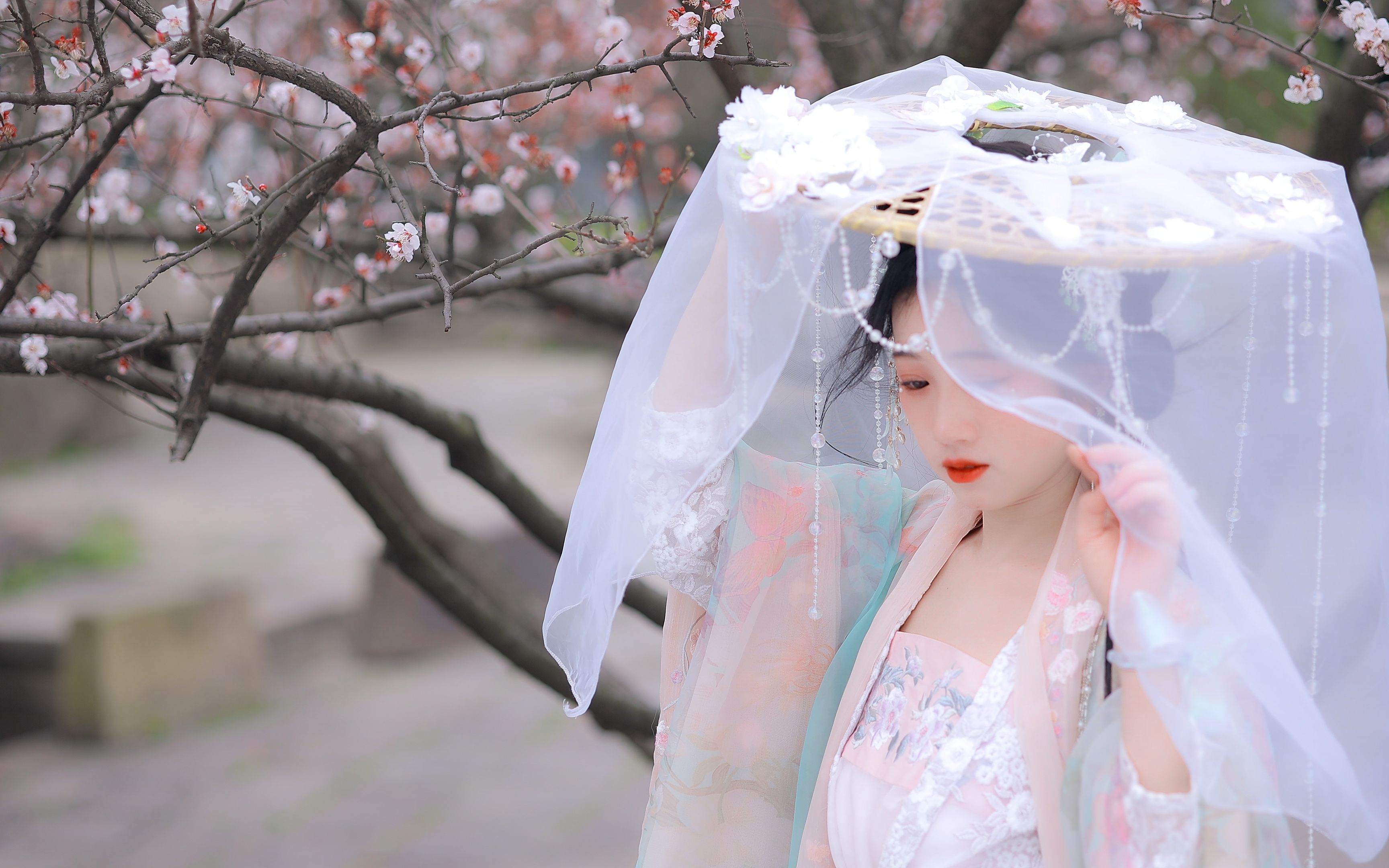 【古风】故里逢春 |你一句春不晚,我就到了真江南