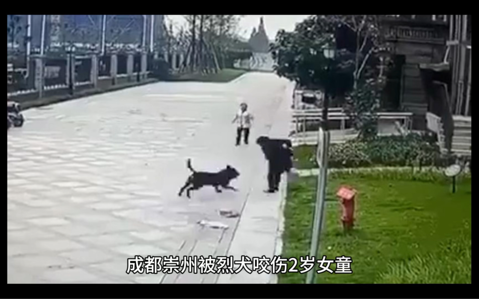 成都崇州被烈犬咬伤2岁女童的父母众筹200万元医疗费