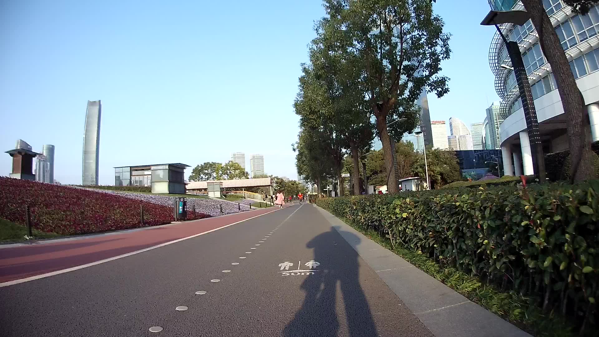 浦东滨江骑行道图片