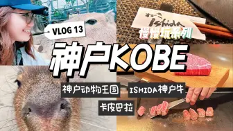 vlog神户慢慢玩#13｜卡皮巴拉超可爱与好吃神户牛排❤️