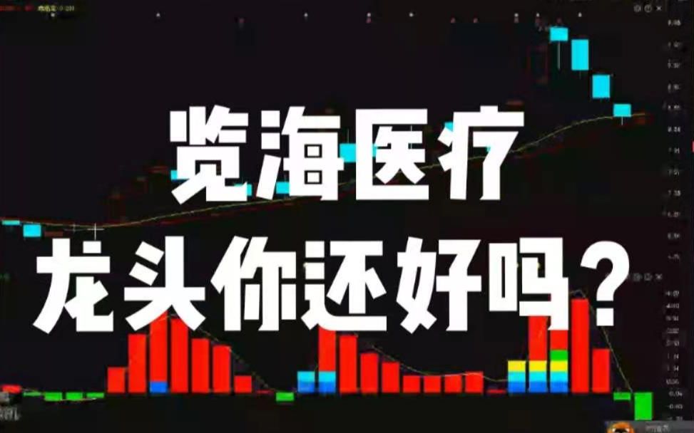 览海医疗,海南板块龙头?龙头你还好吗?哔哩哔哩bilibili