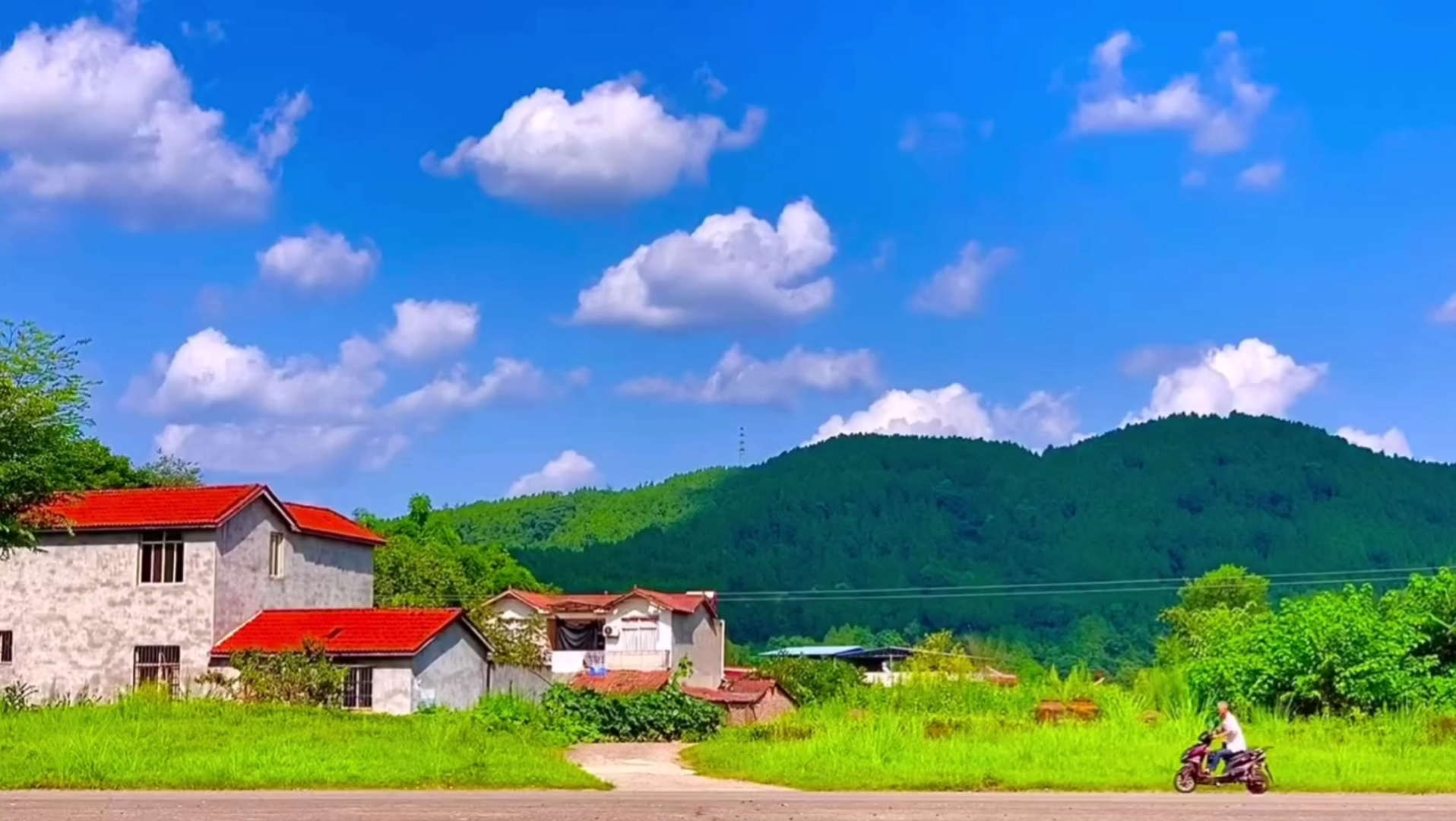 [图]“老家真是一个超级治愈的地方呐”